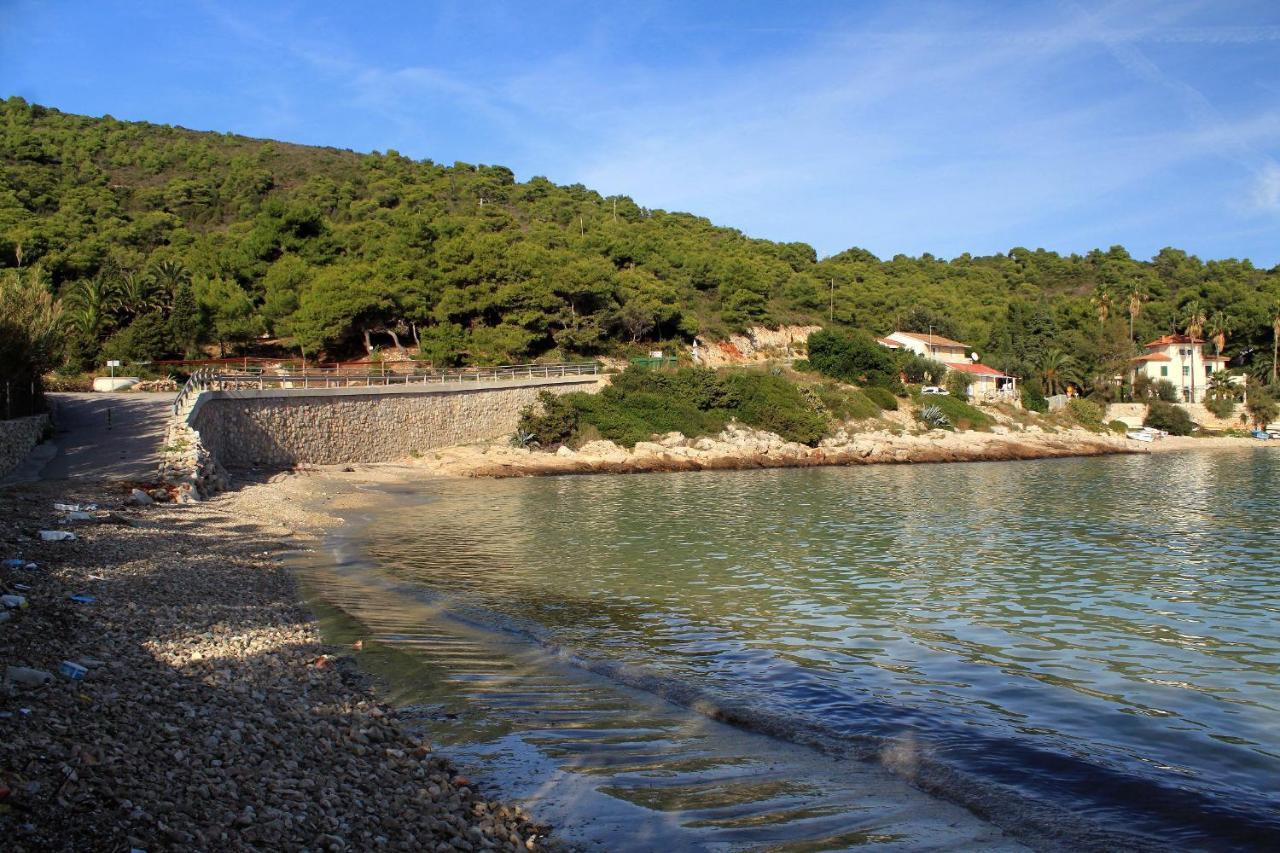 Apartments By The Sea Milna, Vis - 8946 Rukavac  Exterior foto